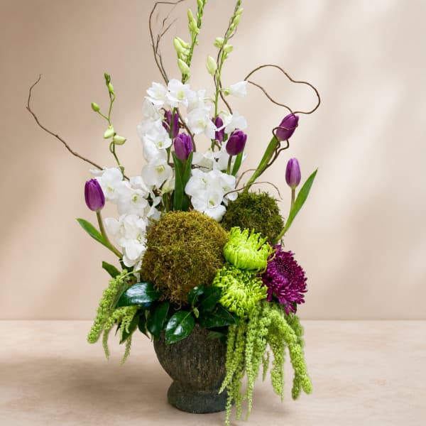 Tall floral arrangement with white orchids, purple tulips, and green chrysanthemums in a dark vase