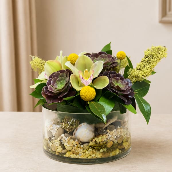 Succulent and orchid arrangement in a glass bowl with decorative stones