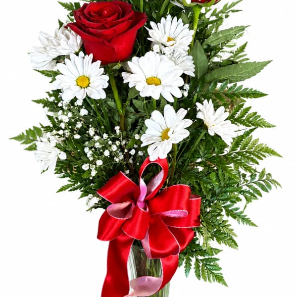 Red roses and white daisies in a glass vase with a red ribbon