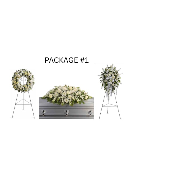 PACKAGE #1