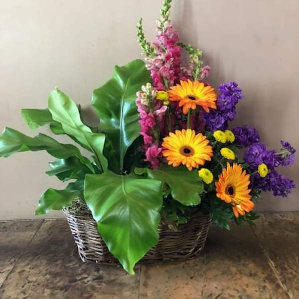 Basket arrangement with orange gerbera daisies and purple flowers