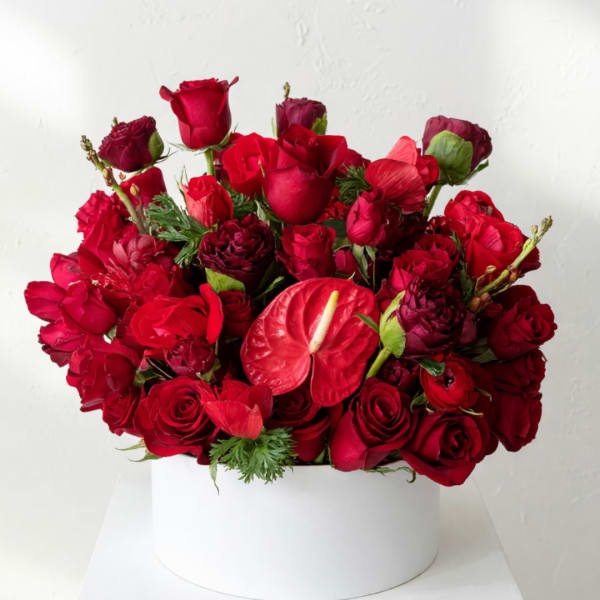 Red roses and anthurium arranged in a white box