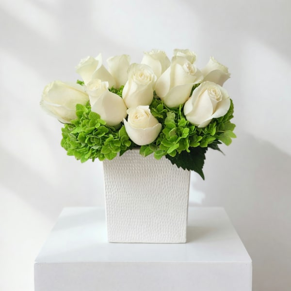 White roses arranged in a textured white vase with bright green hydrangea clusters