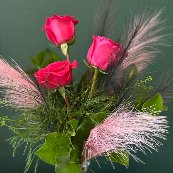 Pink roses arranged with airy pink and black feathers