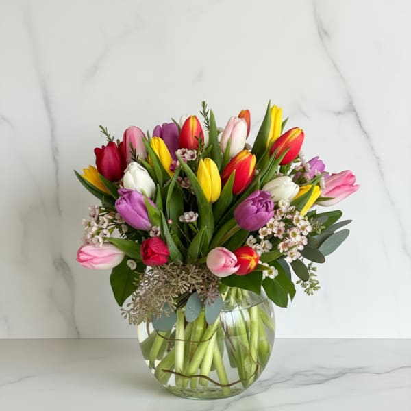 Radiant Tulips