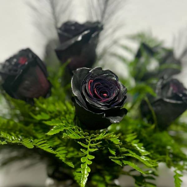 Black roses arranged with bright green fern foliage