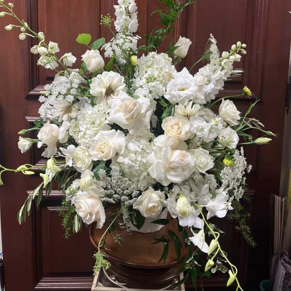 Provence Blanc