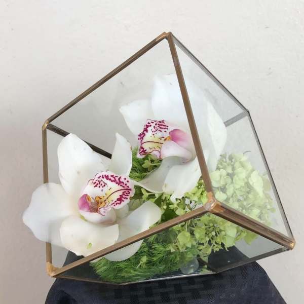 Love Cube-V,( 5'')