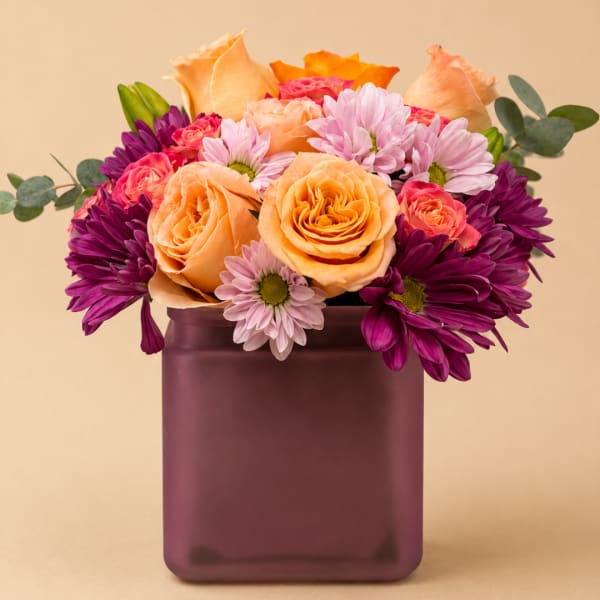 Peach roses and purple daisies in a square vase