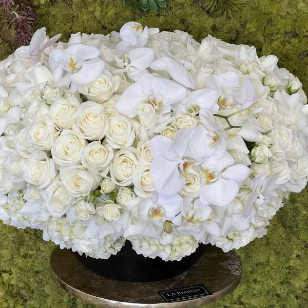 Royal White