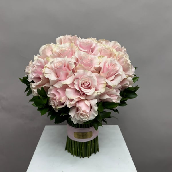 Bouquet of pale pink roses with dark green foliage in a wrapped bundle