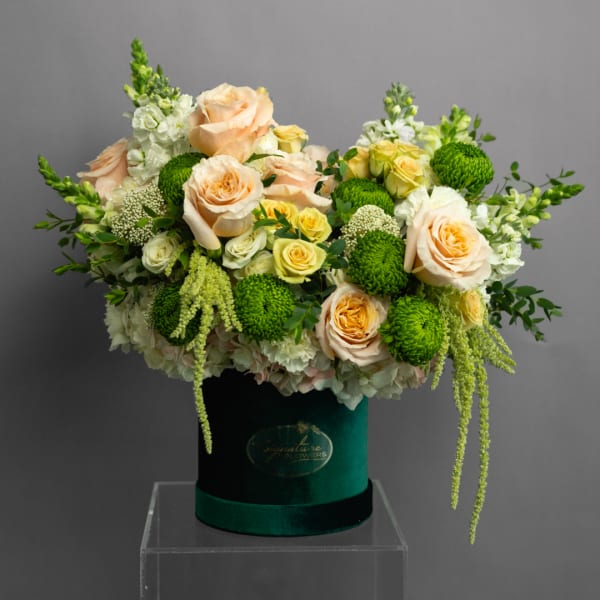 Peach and white roses with green pompons in a velvet box