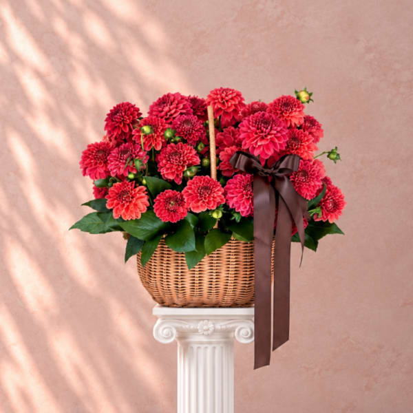Basket of bright red dahlias with a dark ribbon on a pedestal