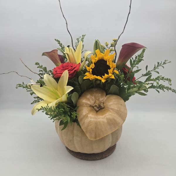 The Perfect (Real) Pumpkin - All unique to Availability of product