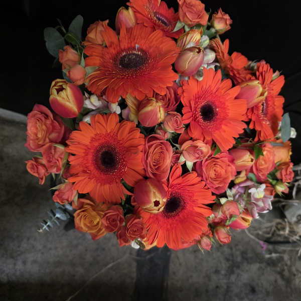 Fiery Romance