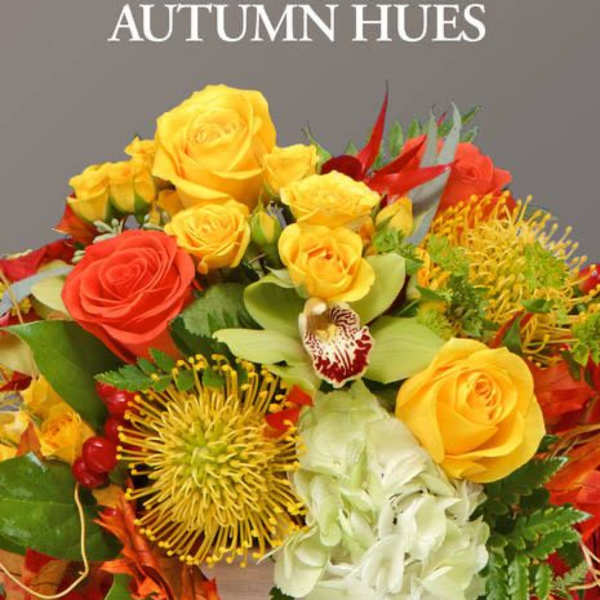 Designer's Choice: Autumn Hues