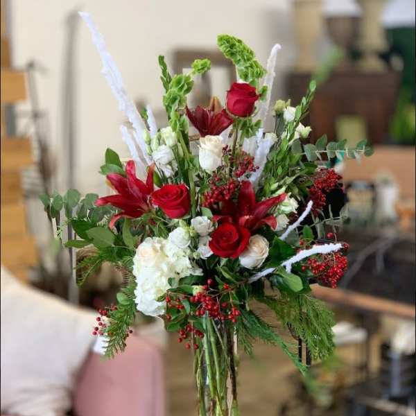 Christmas Roses Gallore