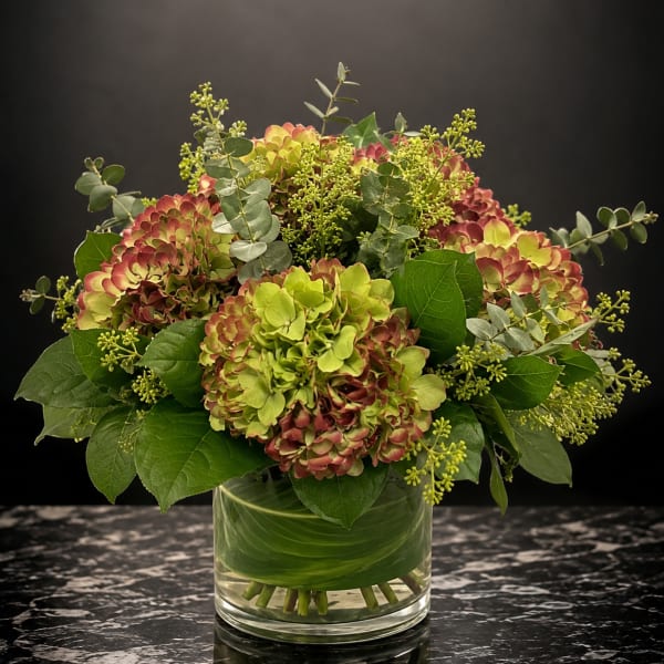 Velvet Hydrangea
