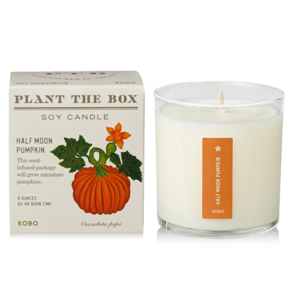 Soy candle in a clear glass jar beside its box with pumpkin artwork