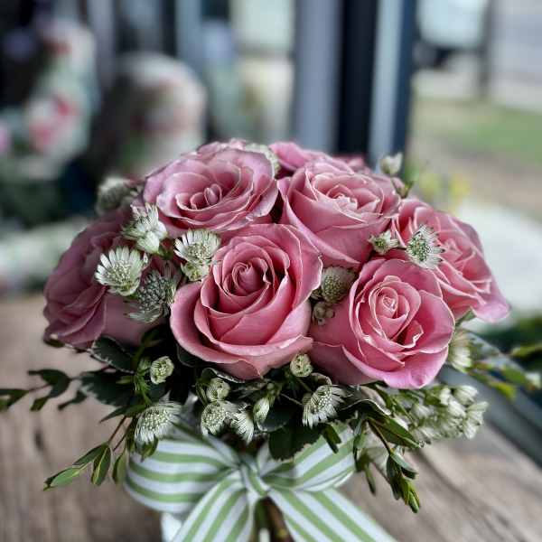 Modern Pink Dozen