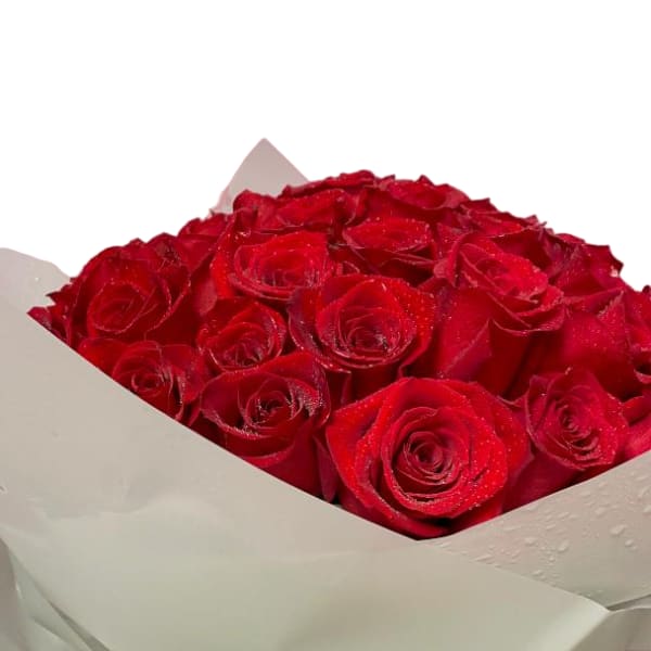 Bouquet of red roses wrapped in white paper with a ribbon