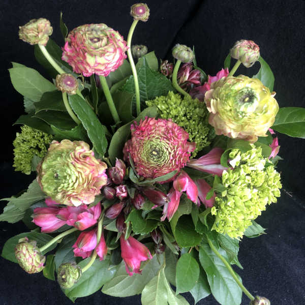 Ranunculus