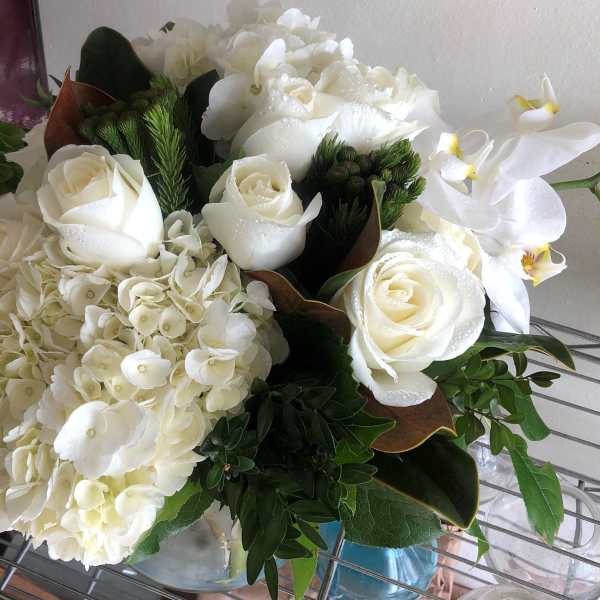 White Sugar Magnolias