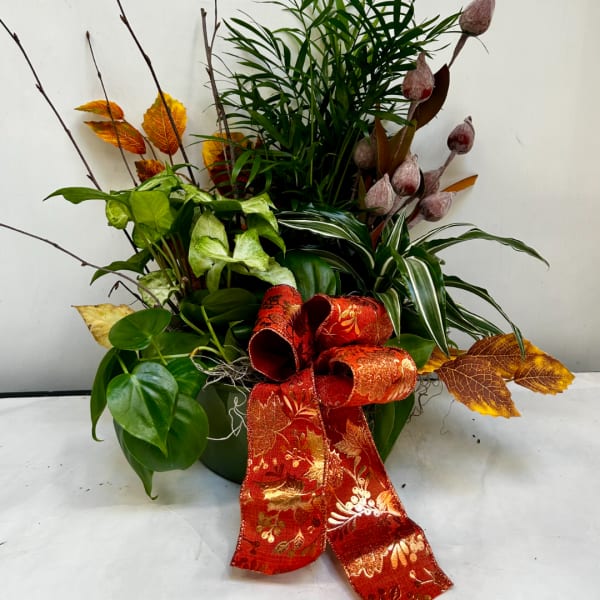 Potted mixed foliage arrangement with a large red decorative ribbon