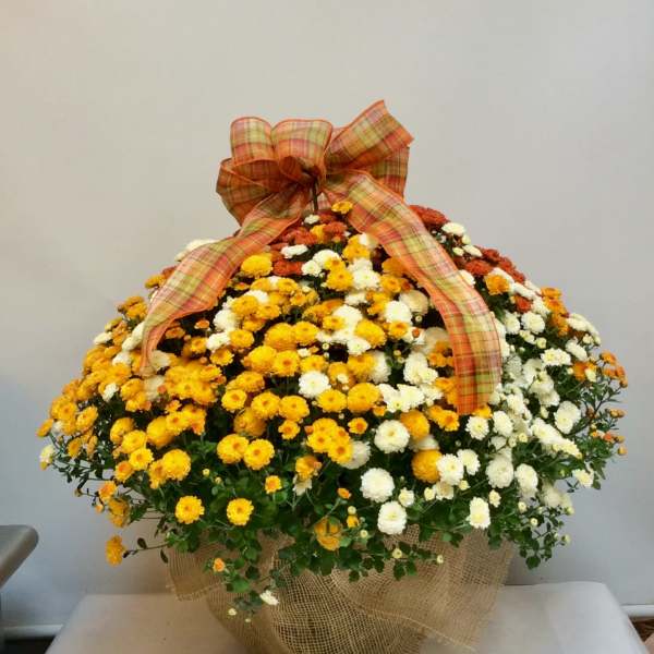 Outdoor Porch Mums