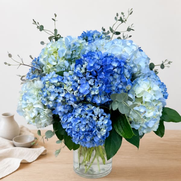Blue hydrangea bouquet in a clear glass vase