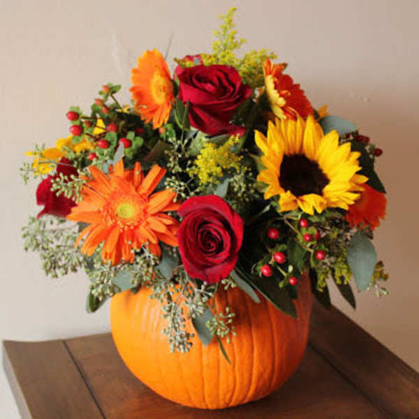 Fall Pumpkin