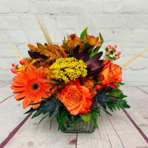 Trendy Autumn Cube