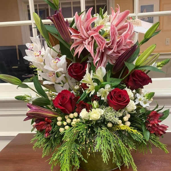 Winter show stopper