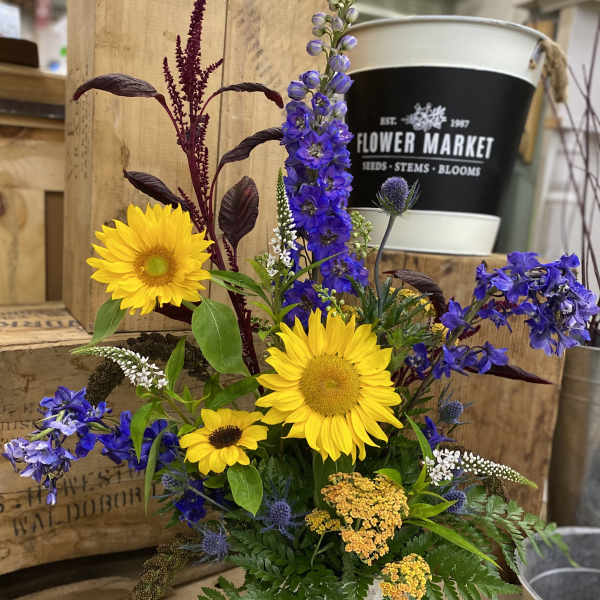 Summer Sun