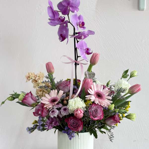 Blooming Orchid