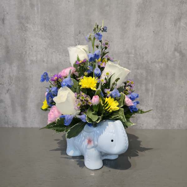 Baby Elephant
