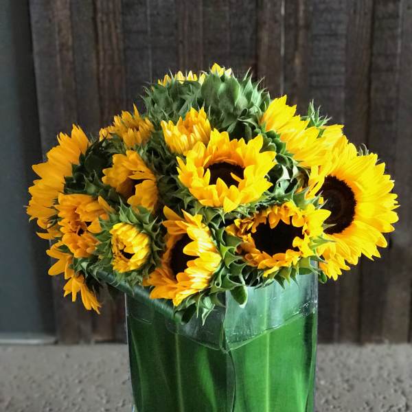 Sunflower bouquet in a tall green glass vase
