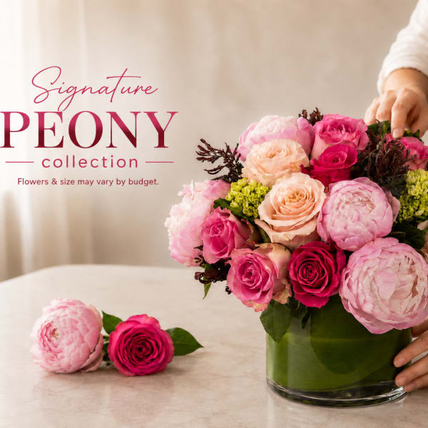 Pink peonies and roses arranged in a glass vase with a hand nearby