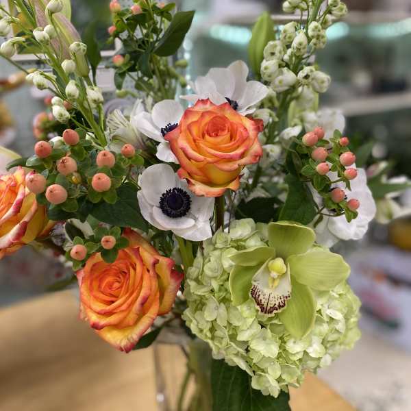 Sunset rose