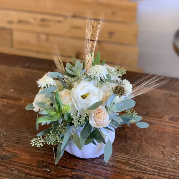 Ivory Pumpkin Blooms
