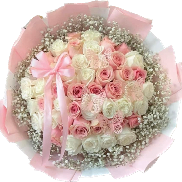 Pink and White