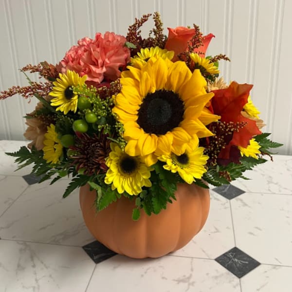 Hello, Pumpkin