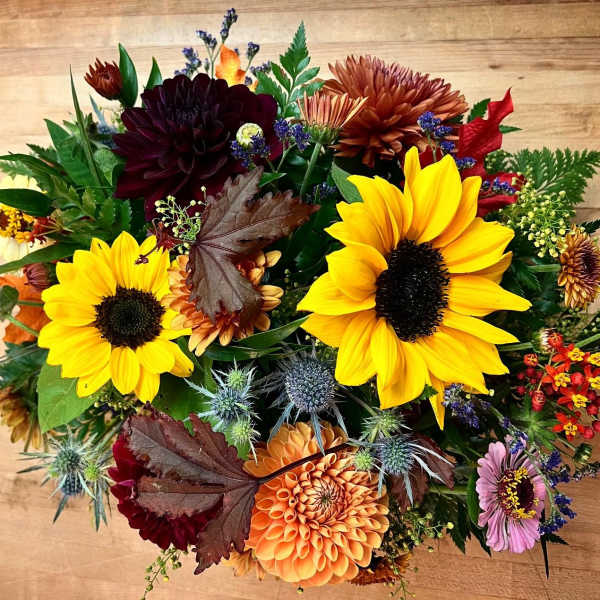 Autumn light