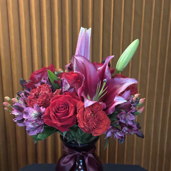 Silent Night Bloom