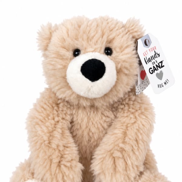 Plush teddy bear with a hang tag on a white background