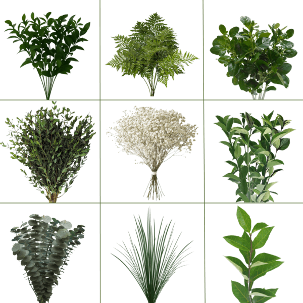 Collage of assorted green foliage stems and white baby's breath bunches