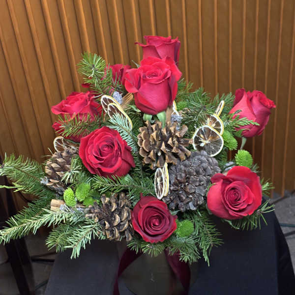 Velvet Holly