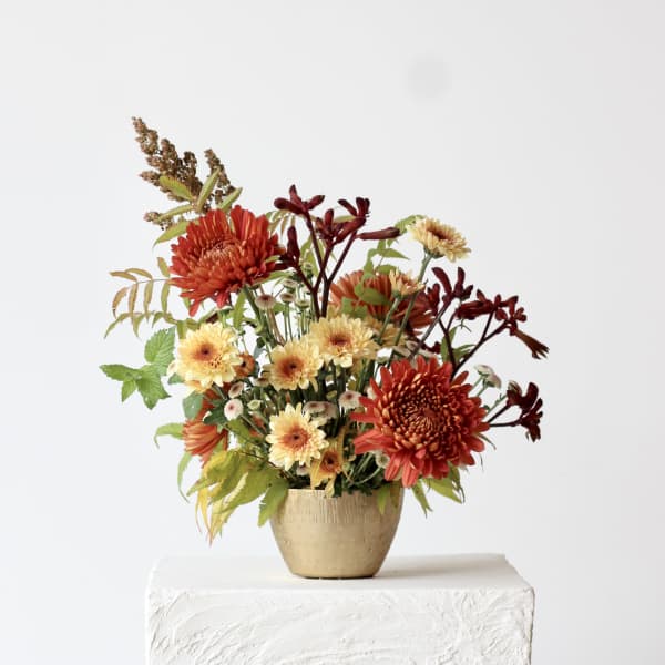 Autumn flower arrangement in a gold vase with red and cream blooms