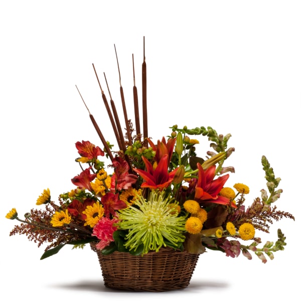 Mixed autumn flower arrangement in a wicker basket with tall brown reeds