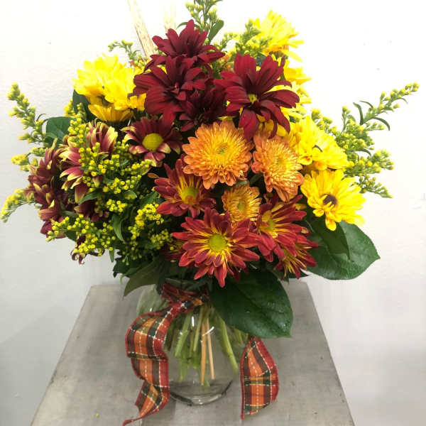 Bouquet of yellow and burgundy chrysanthemums in a glass vase with plaid ribbon
